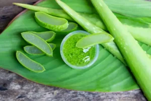 The image shows a close-up of aloe vera leaves and a small container of green gel on a large green leaf. The aloe vera leaves are cut, revealing the translucent gel inside. The green gel in the container appears to be extracted from the aloe vera plant. Aloe vera is widely known for its medicinal and cosmetic properties, often used in skincare products for its soothing and healing effects.